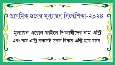 প্রাথমিক স্তরের মূল্যায়ন পদ্ধতি